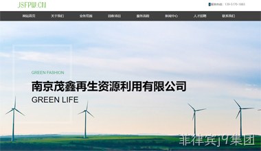 南京茂鑫网站案例